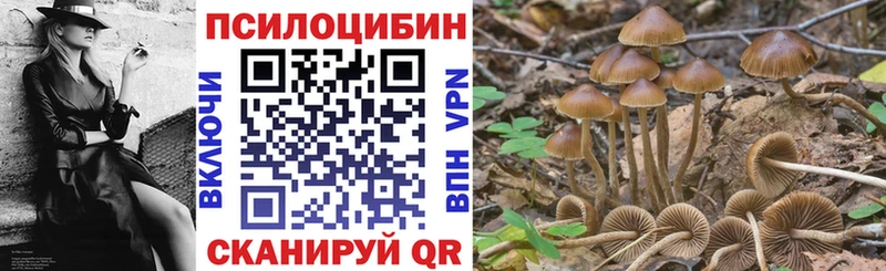 Псилоцибиновые грибы GOLDEN TEACHER  Томари 