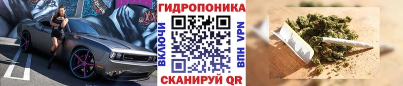 МАРИХУАНА SATIVA & INDICA  Томари 